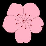 jeal成熟少归APPAPP应用